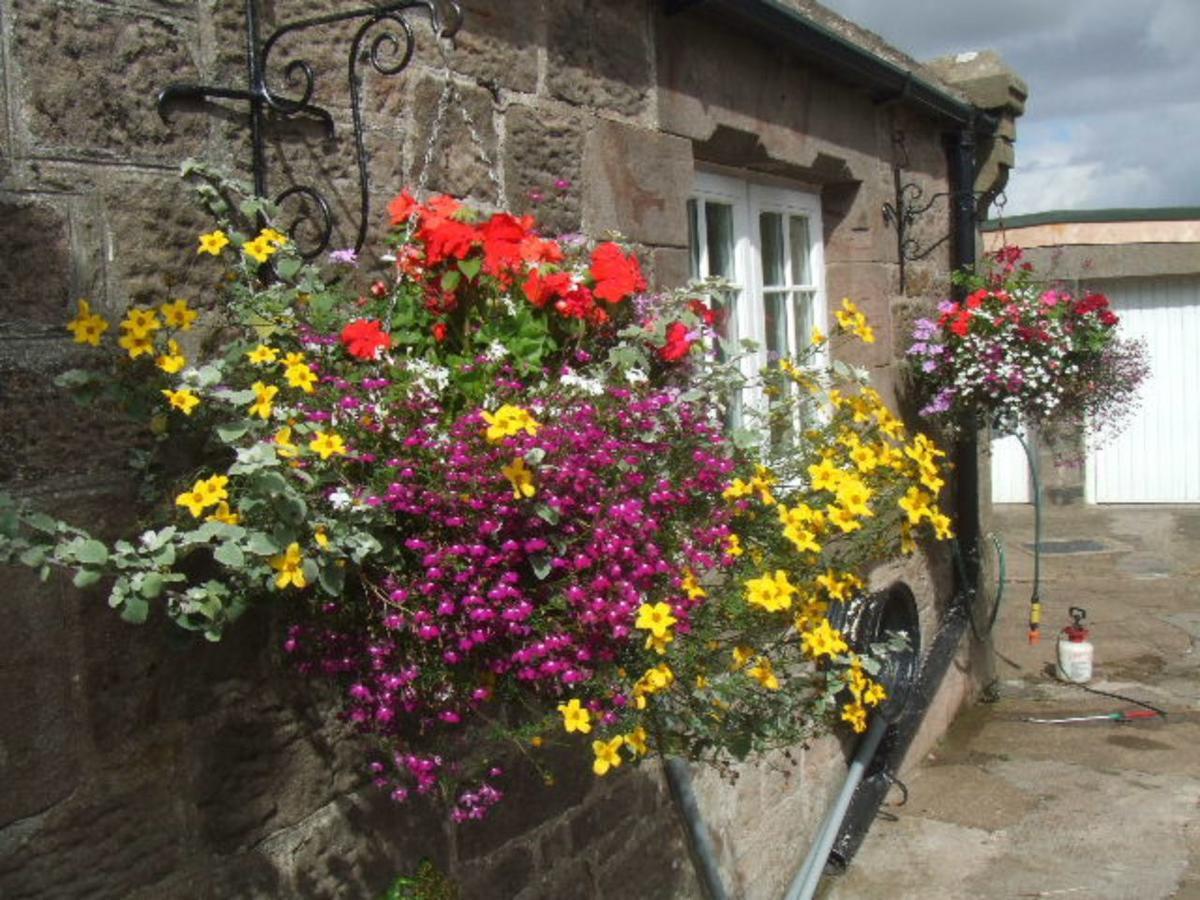 Bed and Breakfast The Old School House Berwick Upon Tweed Exteriér fotografie