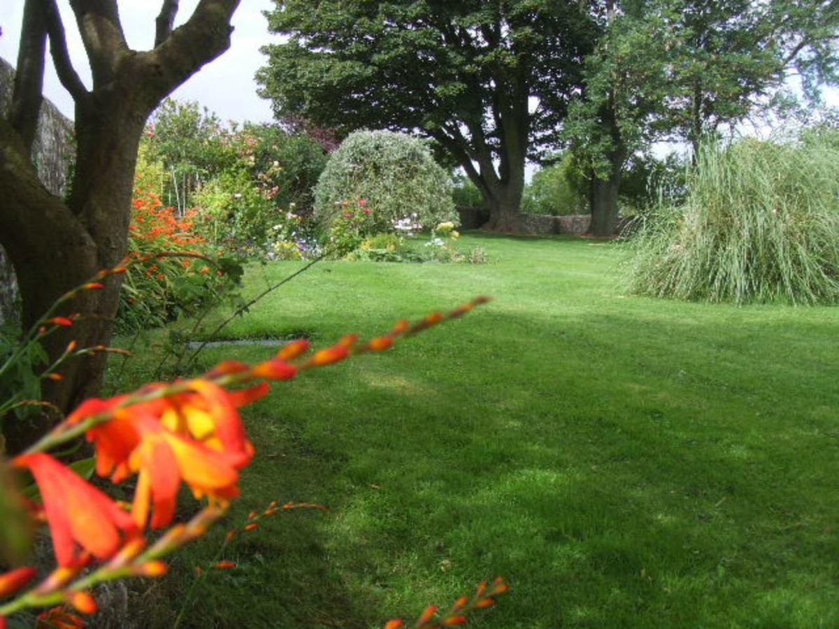 Bed and Breakfast The Old School House Berwick Upon Tweed Exteriér fotografie